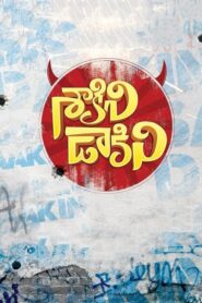 శాకినీ ఢాకినీ