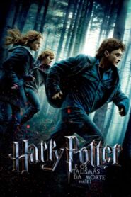 Harry Potter e as Relíquias da Morte – Parte 1 – Assistir Online Dublado Grátis