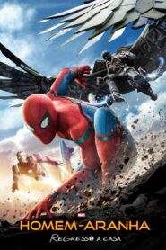Homem-Aranha: De Volta ao Lar
