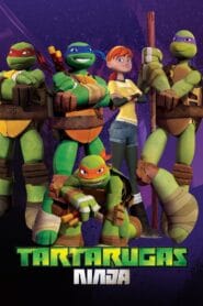 As Tartarugas Ninjas: Season 1