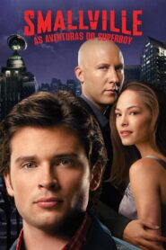 Smallville: As Aventuras do Superboy: Season 6