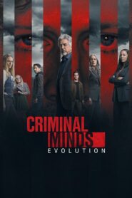 Mentes Criminosas: Season 17