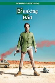Breaking Bad: Season 1