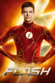 Flash: Season 8