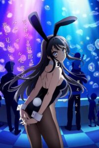 Rascal Does Not Dream of Bunny Girl Senpai: Season 1